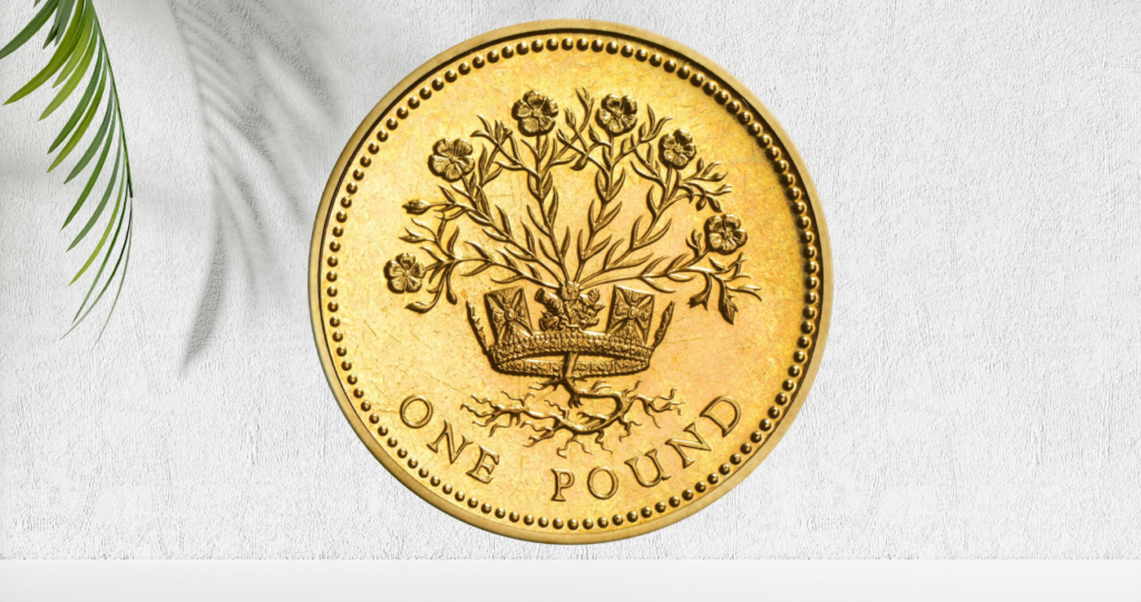 What About the £1 Coin?