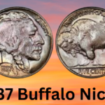 1937 Buffalo Nickel